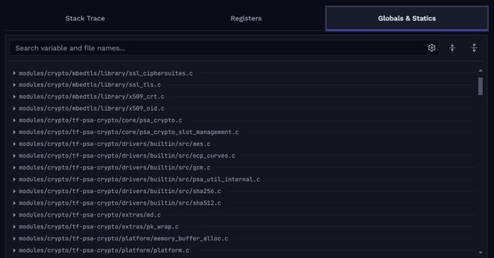 Глобальные переменные из coredump в Spotflow